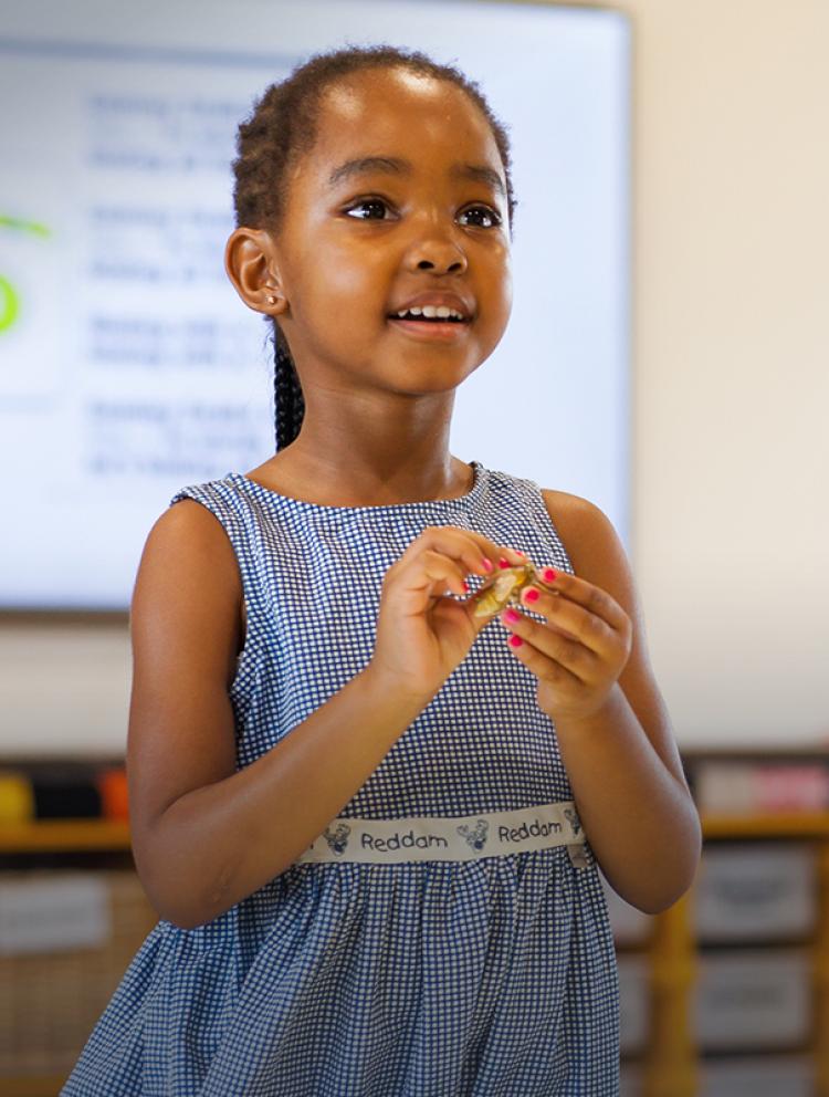 Nurseries in Fourways