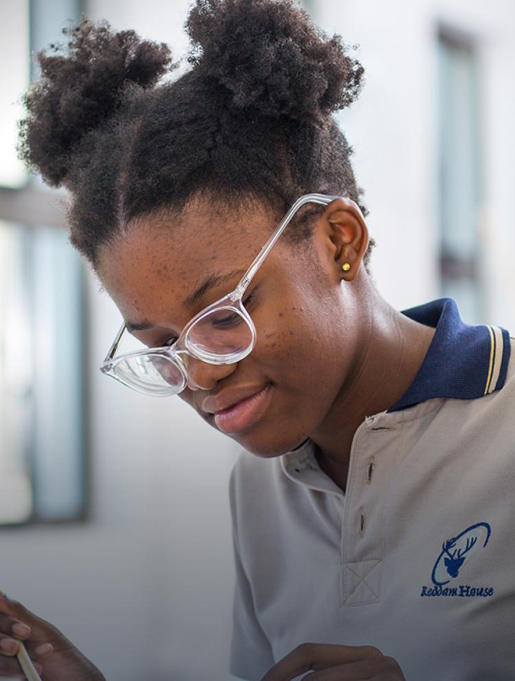 primary schools Fourways